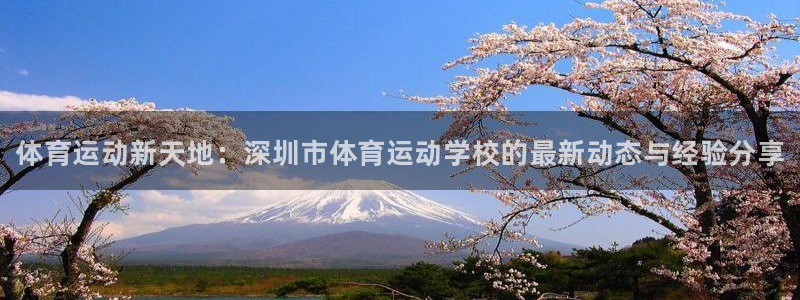 欧亿体育官方正版app科技：体育运动新天地：深圳市体