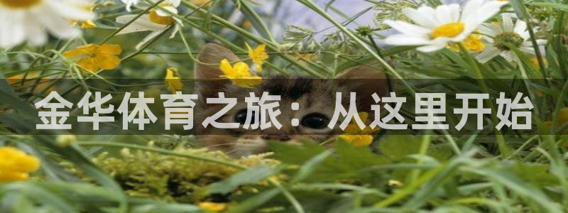oety欧亿体育官网下载招商电话是多少啊：金华体育之