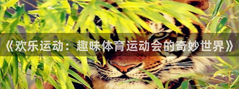 oety欧亿体育官网下载平台注册流程视频：《欢乐运动