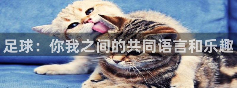 欧亿体育官方正版app官方：足球：你我之间的共同语言