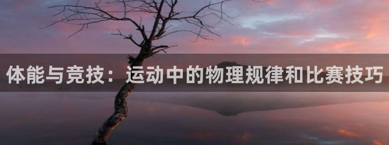 oety欧亿体育官网下载平台注册：体能与竞技：运动中