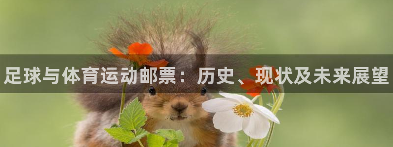 欧亿体育官方正版app娱乐首页网站大全：足球与体育运