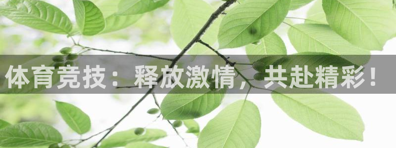 oety欧亿体育官网下载招商：体育竞技：释放激情，共