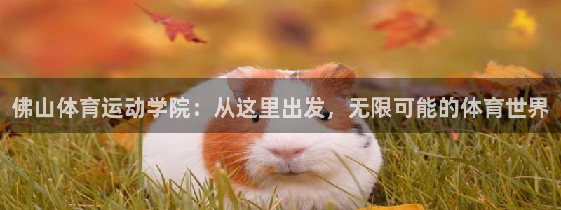 欧亿体育官方正版app五金厂：佛山体育运动学院：从这里出发，