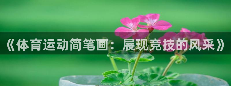 oety欧亿体育官网下载招商电话号码:《体育运动简笔画:展现