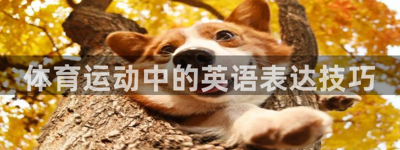 oety欧亿体育官网下载招商电话是多少号码:体育运动中的英语