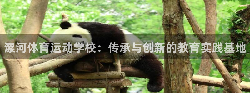 欧亿体育官方正版app娱乐首页官网下载：漯河体育运动学校：传